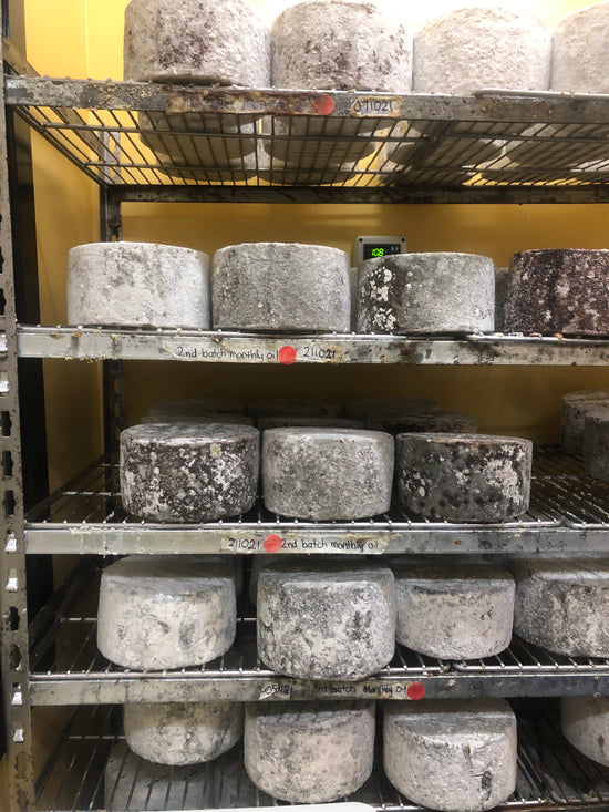 What is blue cheese and how is it made?