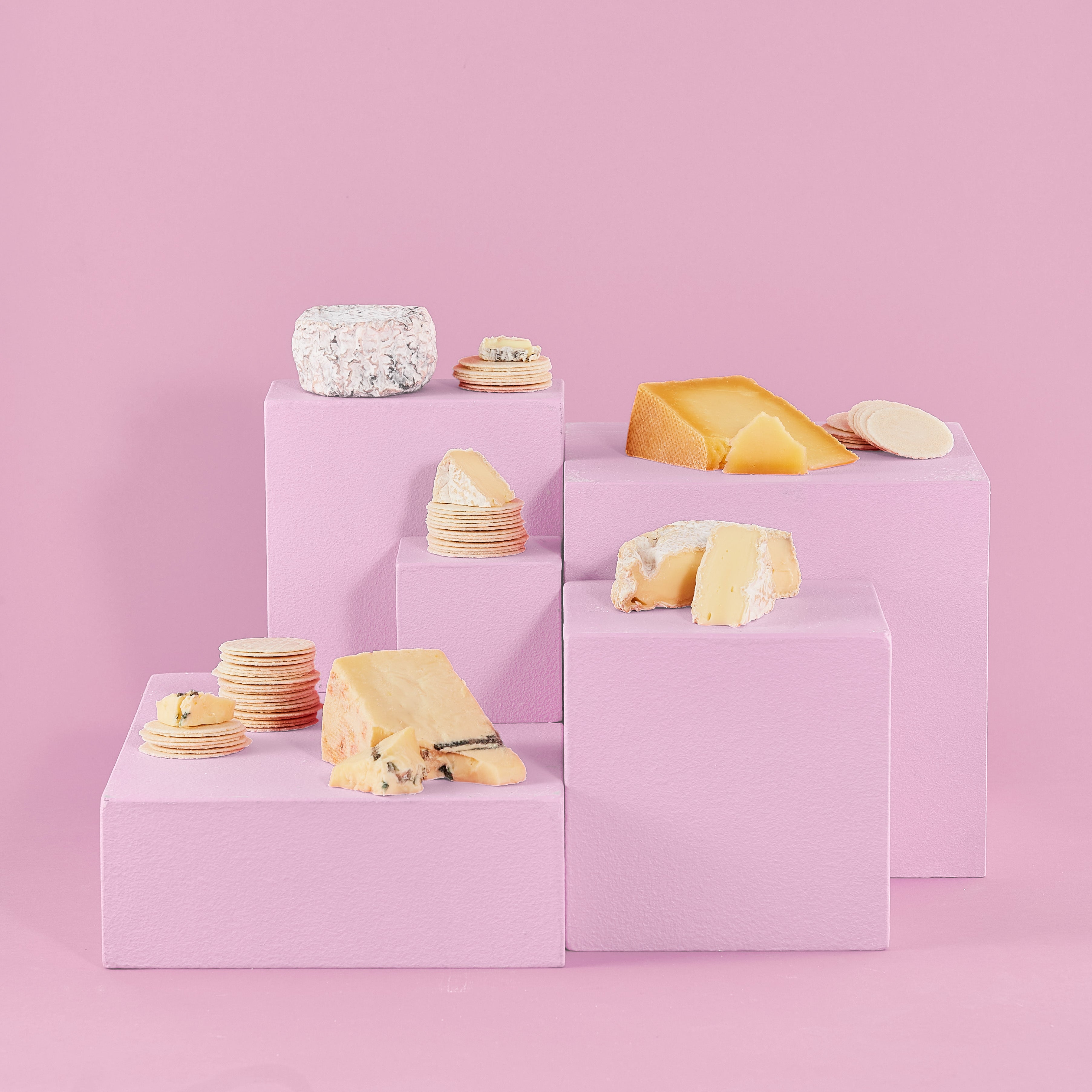 CHEESE BOXES Mould Cheese Festival